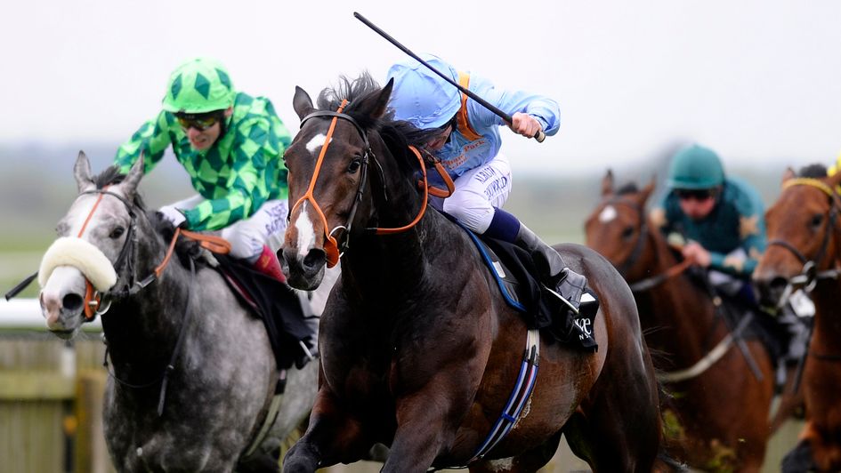 Toormore - flagbearer for Middleham Park