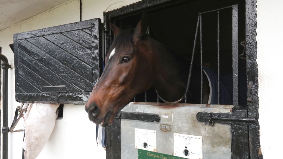 Altior pictured in his stable