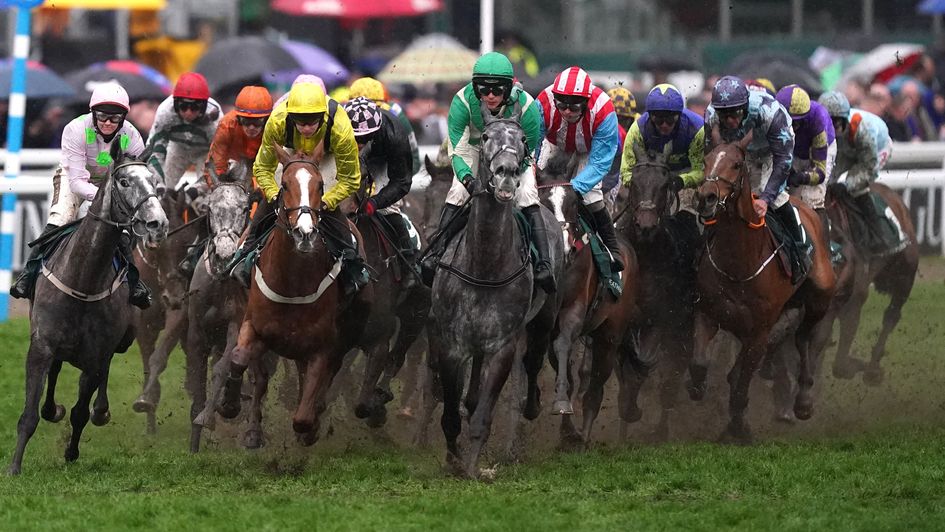 Runners in the delayed bumper at Cheltenham this year