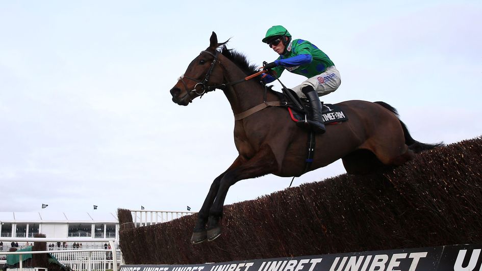 Ginny's Destiny is brilliant again at Cheltenham