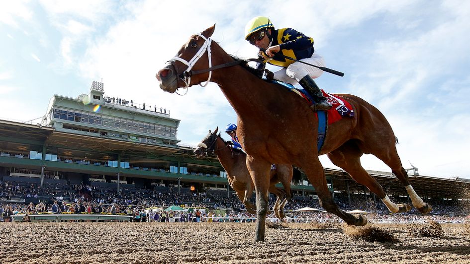 Covfefe wins the Breeders' Cup Filly & Mare Sprint at Santa Anita
