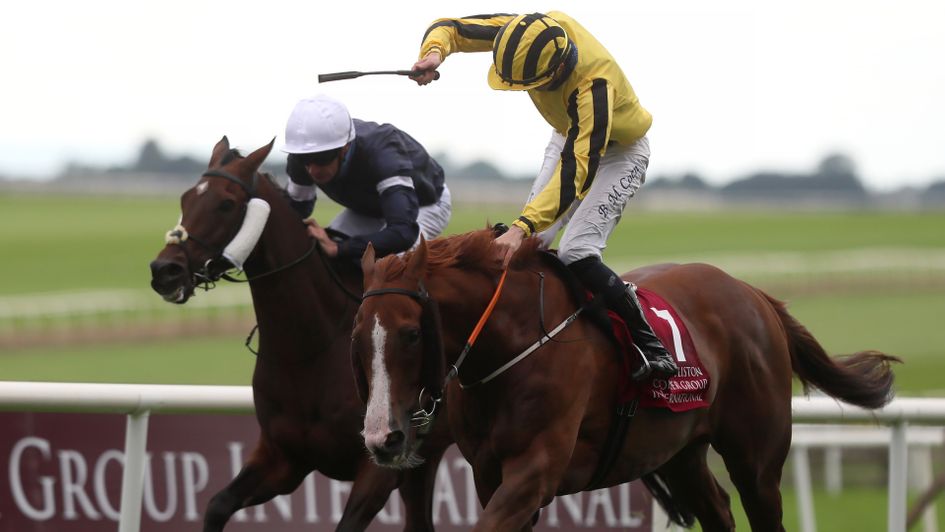 Ben Coen celebrates on Sonnyboyliston