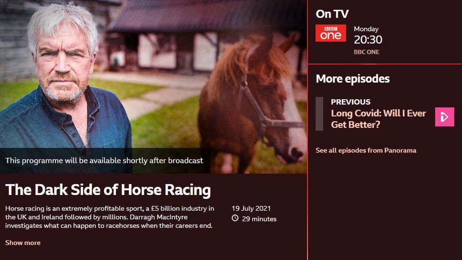 Panaroma advert on BBC website