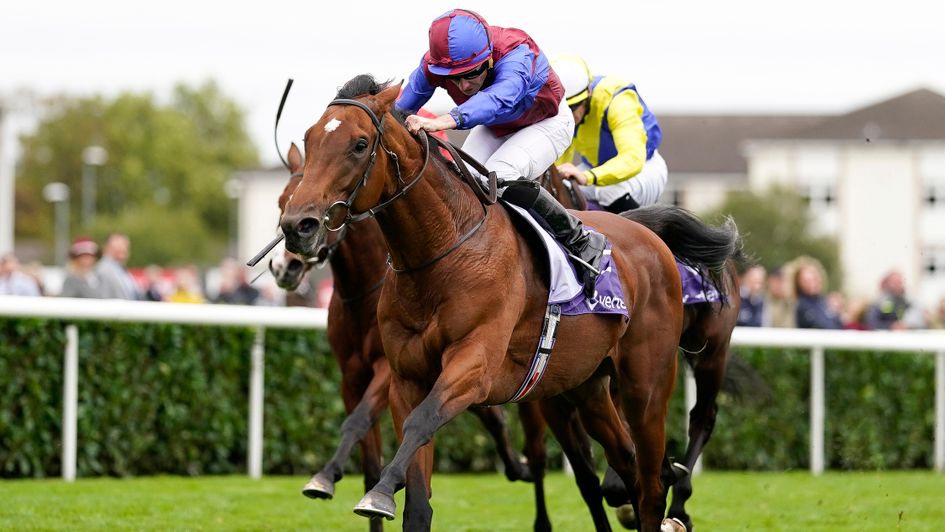 Luxembourg lands the Vertem Futurity Trophy