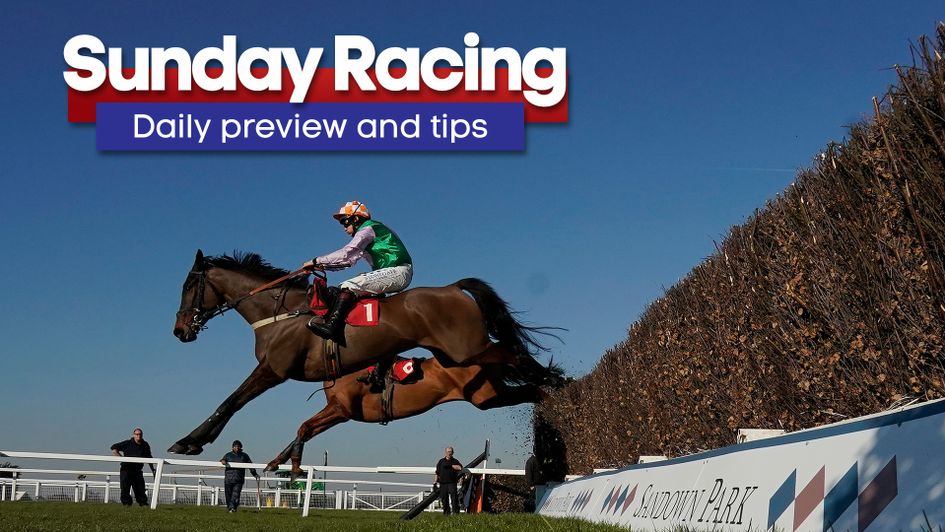 Check out the latest daily racing preview