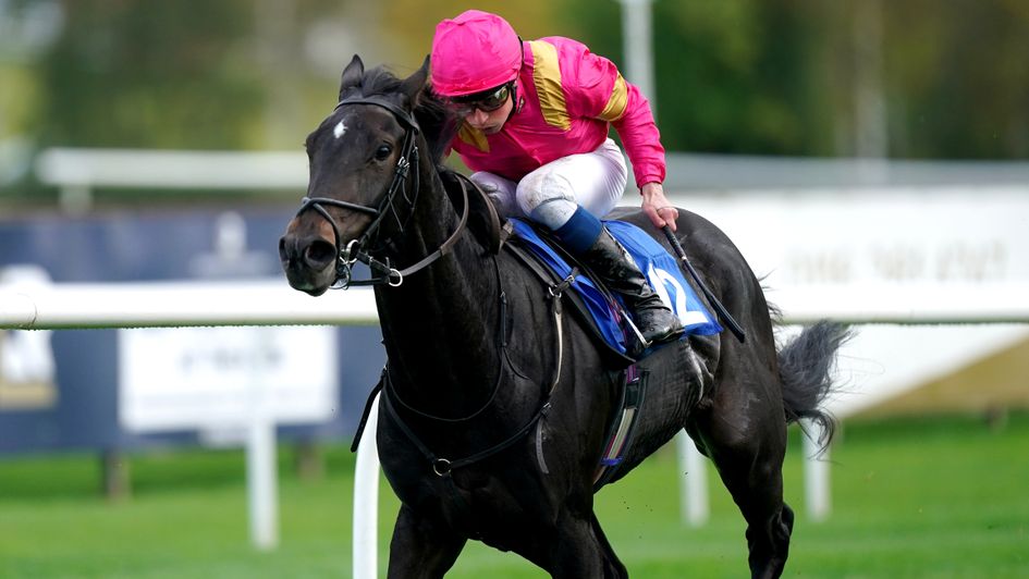 William Buick rides Kentucky Kitten to victory at Leicester