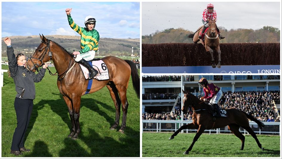 Cheltenham Gold Cup Jury