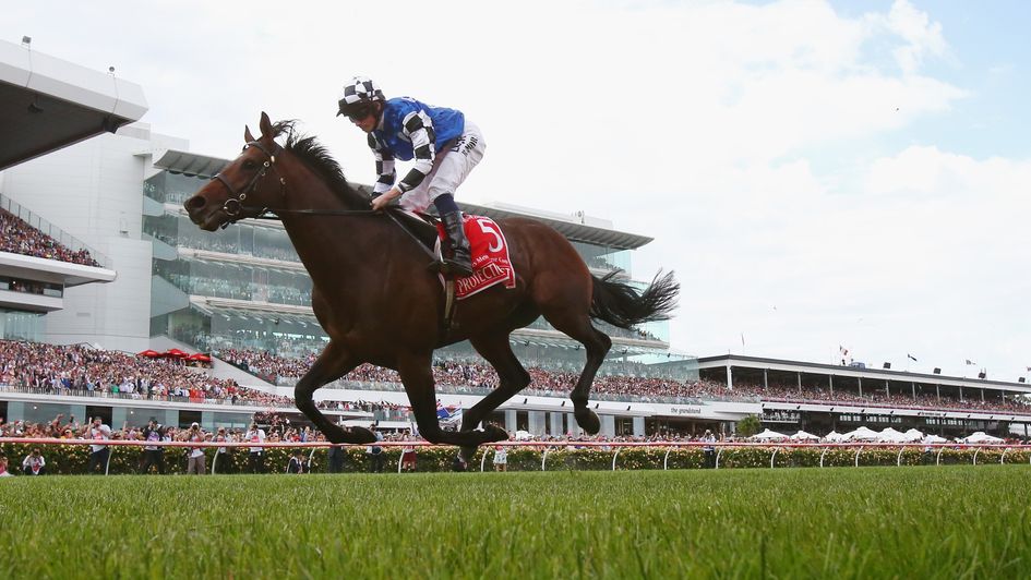 Protectionist wins the Melbourne Cup