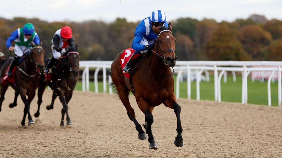 Mukaddamah bows out in style at Newcastle