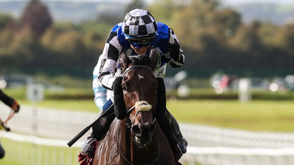 Al Riffa pictured winning the Irish St. Leger at the Curragh