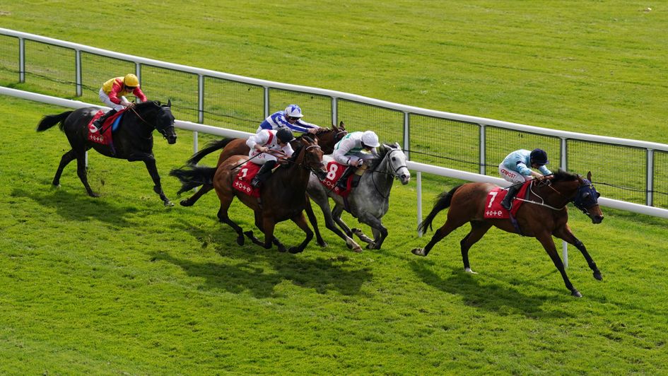 Hamish comes with his run on the outsidE