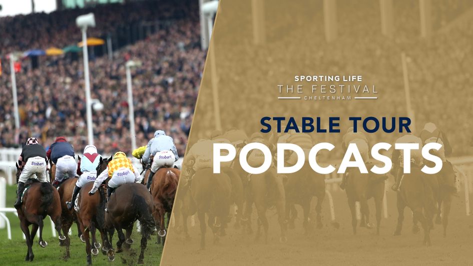 All of our top Cheltenham Stable Tours are available as podcasts now