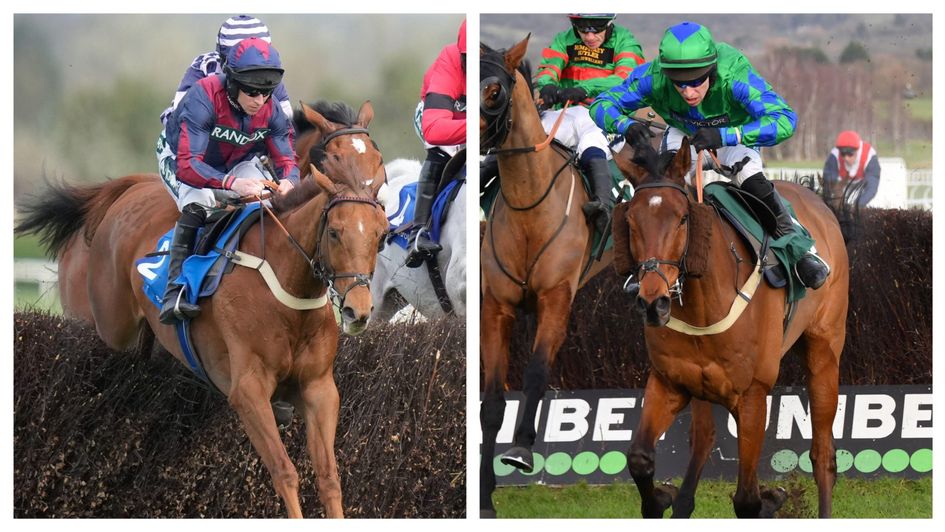 Colonel Harry and Ga Law are all set for Cheltenham