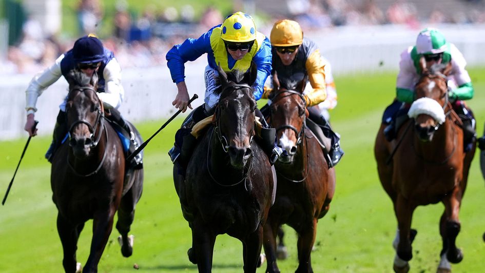 Never So Brave ridden by Ryan Moore