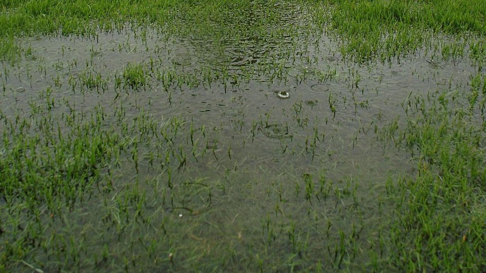 Waterlogging - claimed Hamilton card