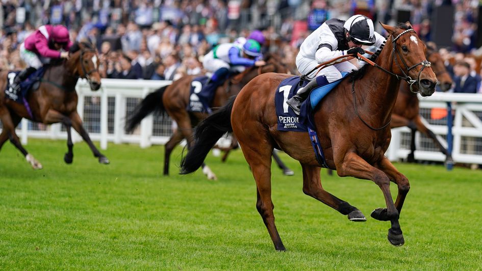 Rebel Territory is away and clear in the Victoria Cup