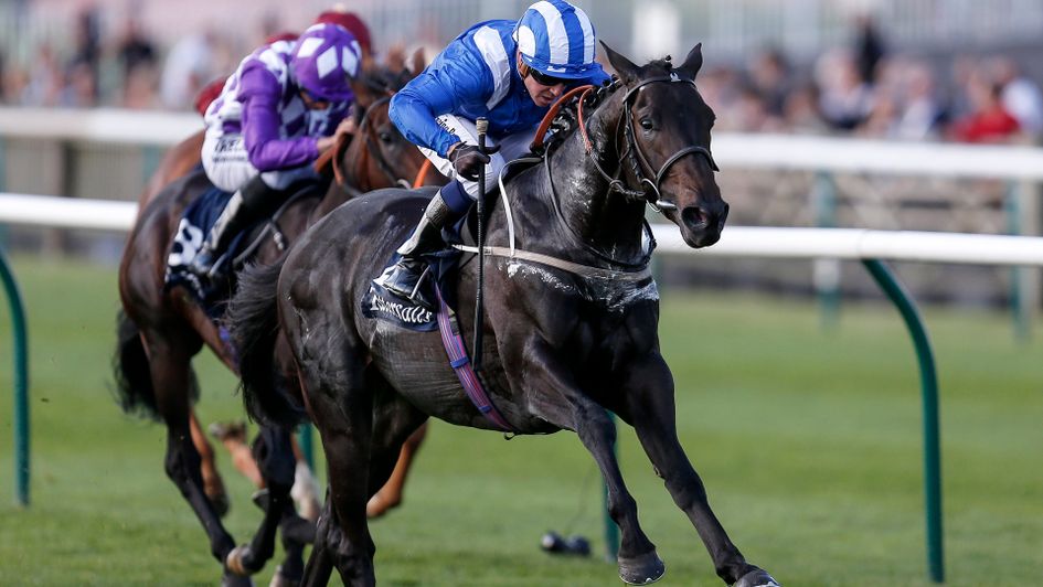 Elarqam: Can the colt return to Newmarket and win again?