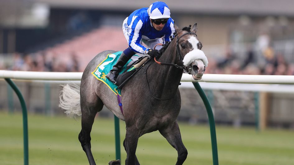 Shine So Bright pictured at Newmarket