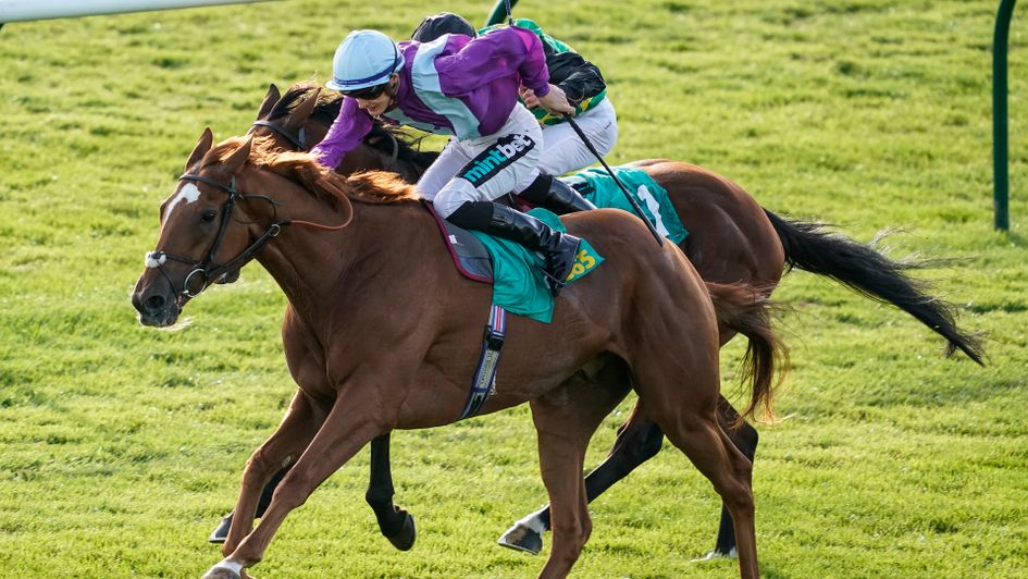 Rock Eagle in action