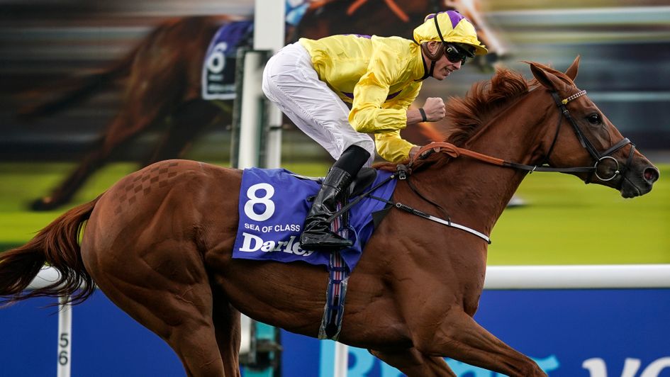 The brilliant Sea Of Class