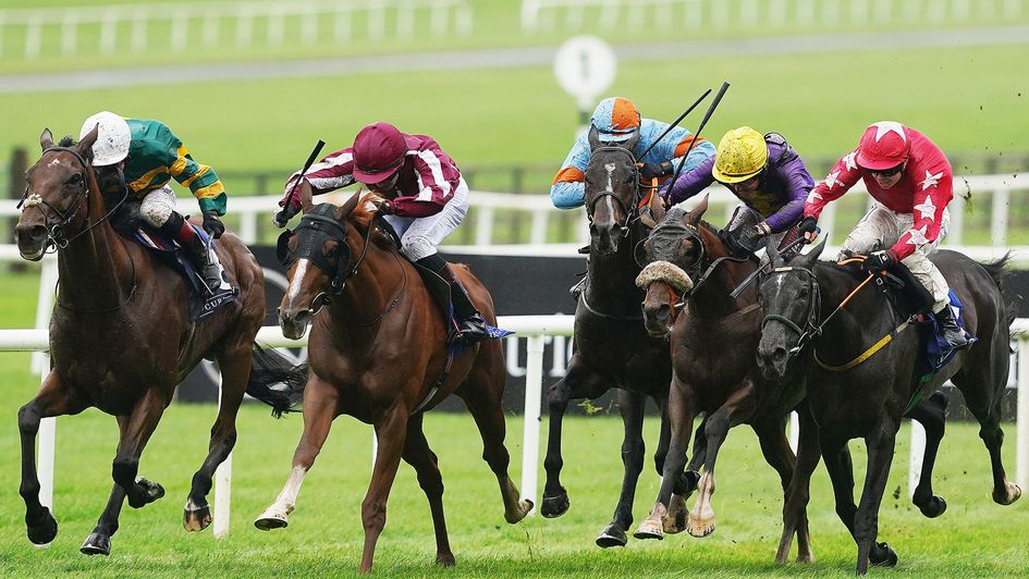 Magellan Strait (maroon and while silks) wins the prize