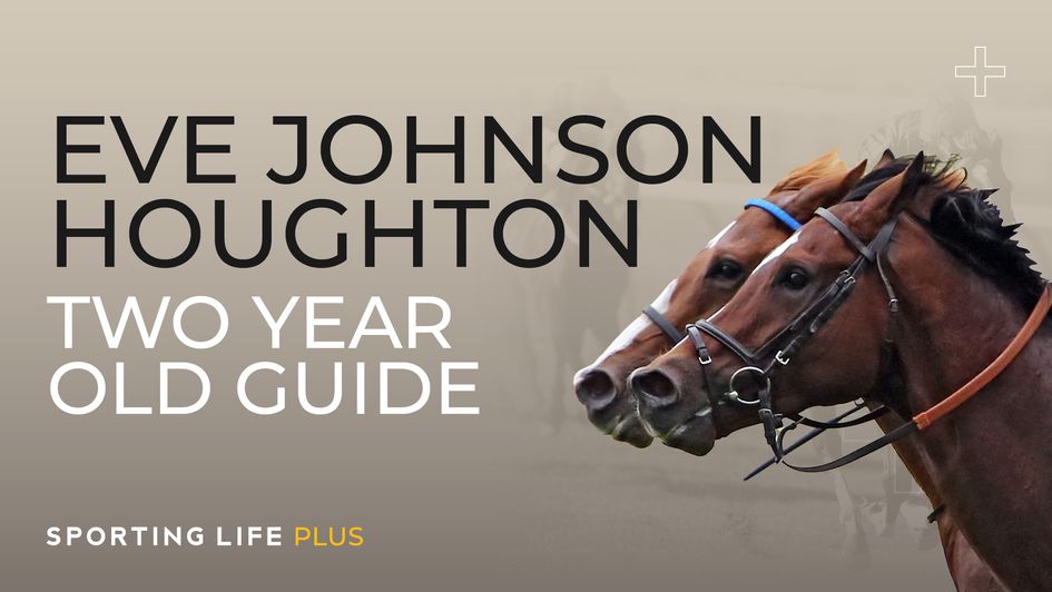 Eve Johnson-Houghton: Two-Year-Old Guide