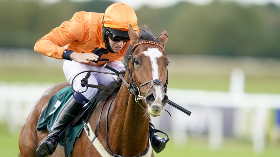 Chester Williams on Galice Macalo