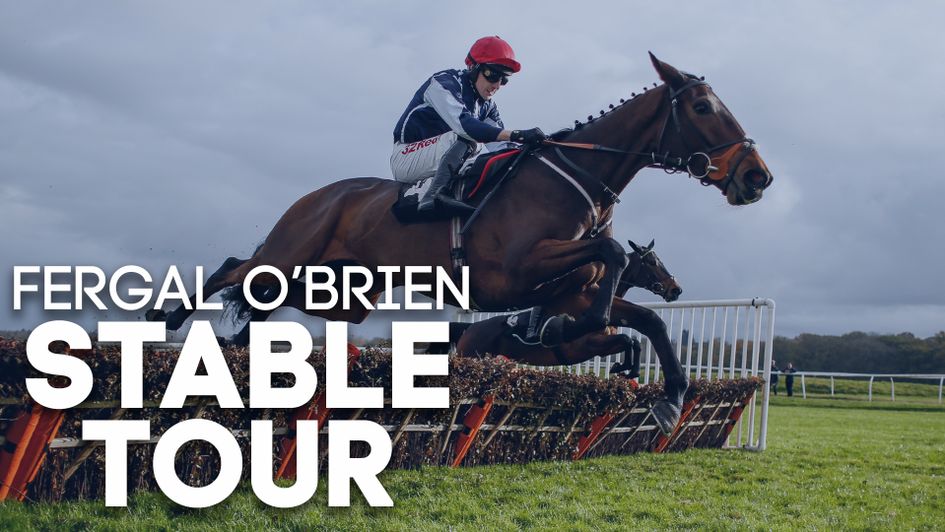 Check out the latest from Fergal O'Brien's stable