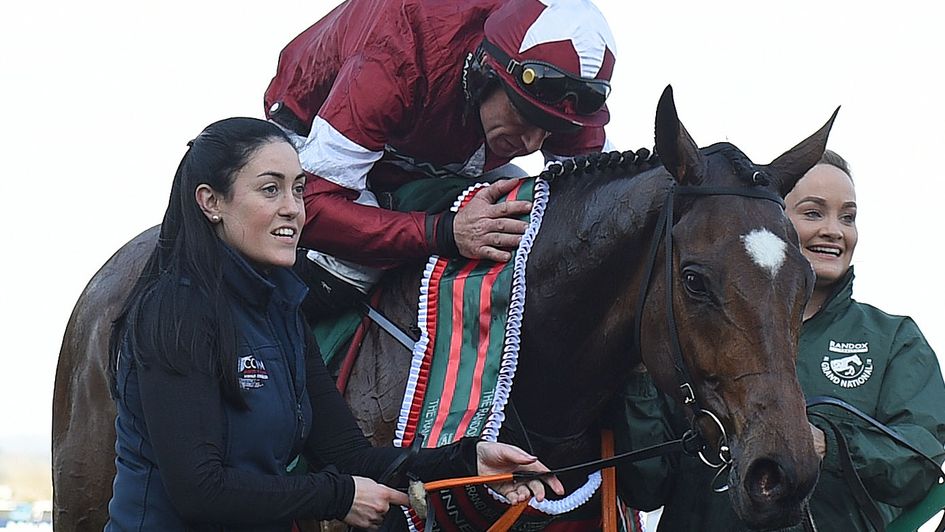 Tiger Roll - National treasure