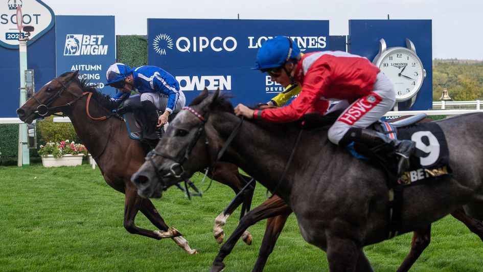 Cajole (nearside) edges out Dash Of Azure