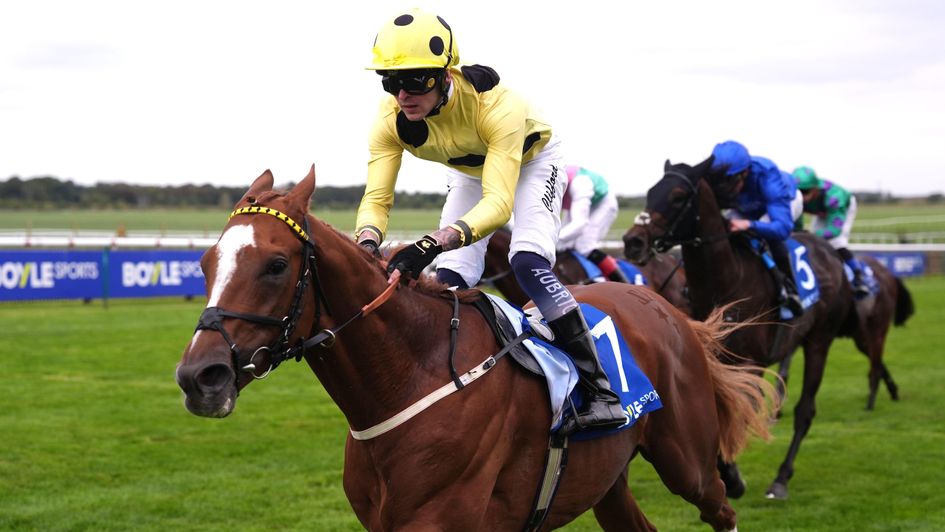 Zeus Olympios impresses in the Joel Stakes