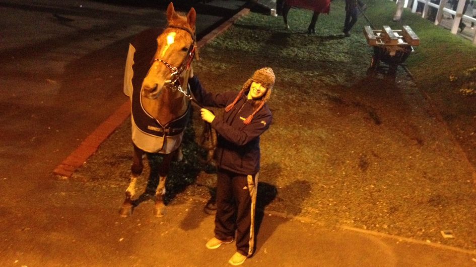 Annie Power after she had got up safely at Cheltenham in 2015