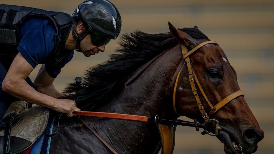 Satono Reve flexes Moreira’s muscles at morning trackwork
