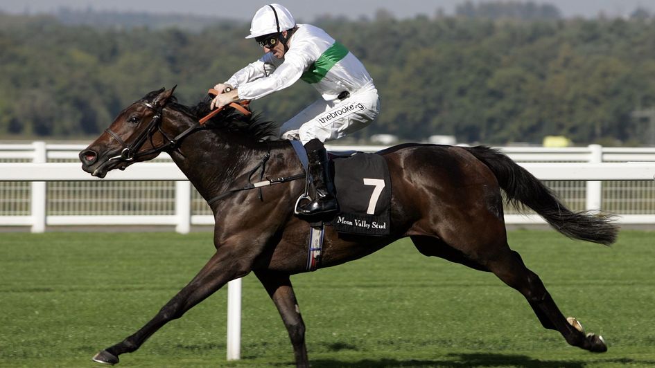 Rainbow View was a wonderful winner of the Fillies' Mile