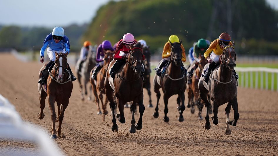 Say What You See (right) stayed on strongly to prevail