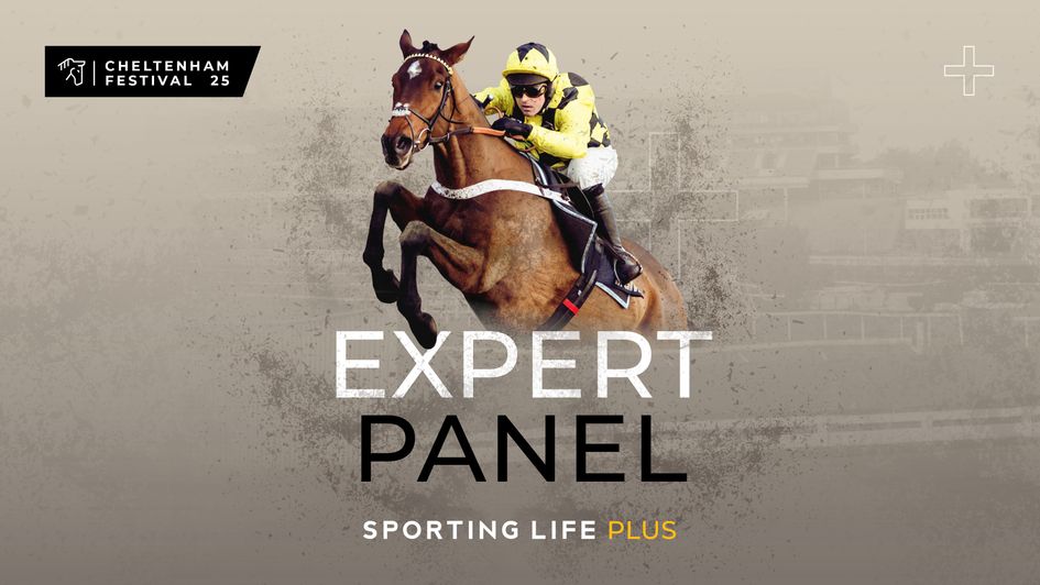 Cheltenham Festival Expert Panel