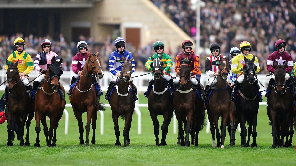 Who should be added to My Stable?