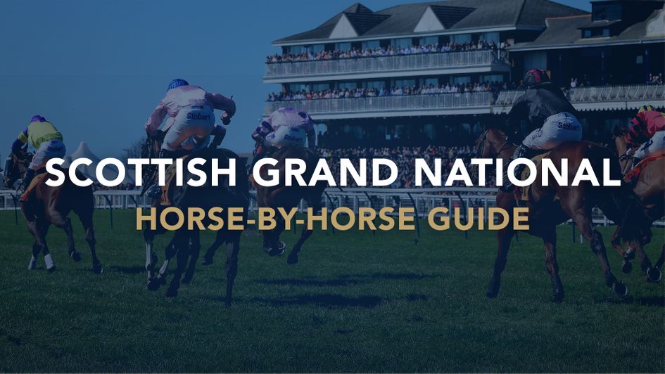 Check out our guide to the contenders for Ayr
