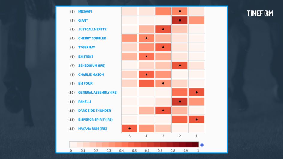Timeform pace map