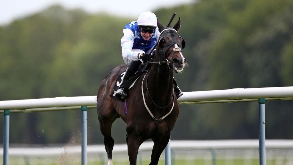 Punchbowl Flyer on his way to victory