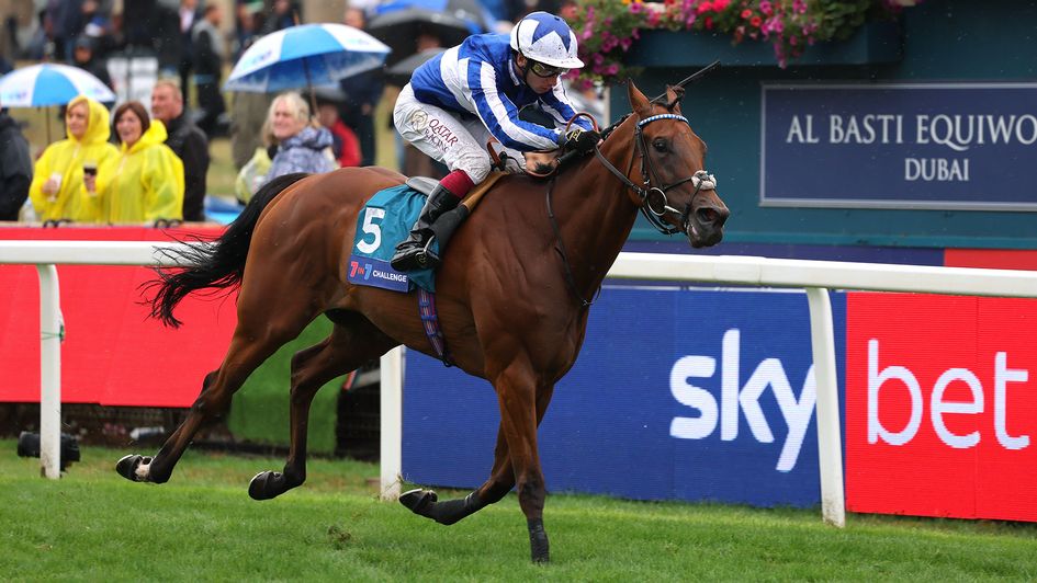 The Lost King lands the Sir Kevin Sinfield 7 In 7 Grand Finale Handicap at York