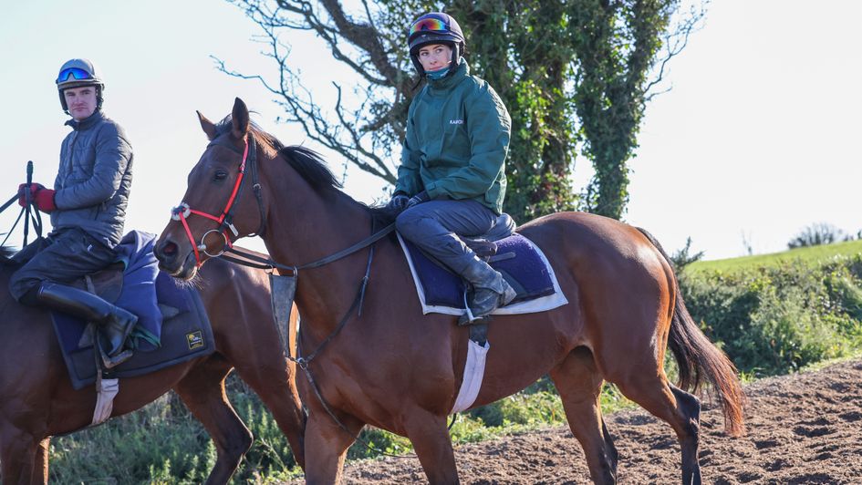Minella Times on the gallops