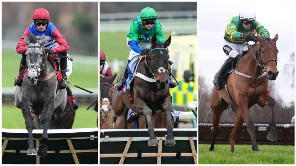 Some of the big players in the Cheltenham novice hurdles