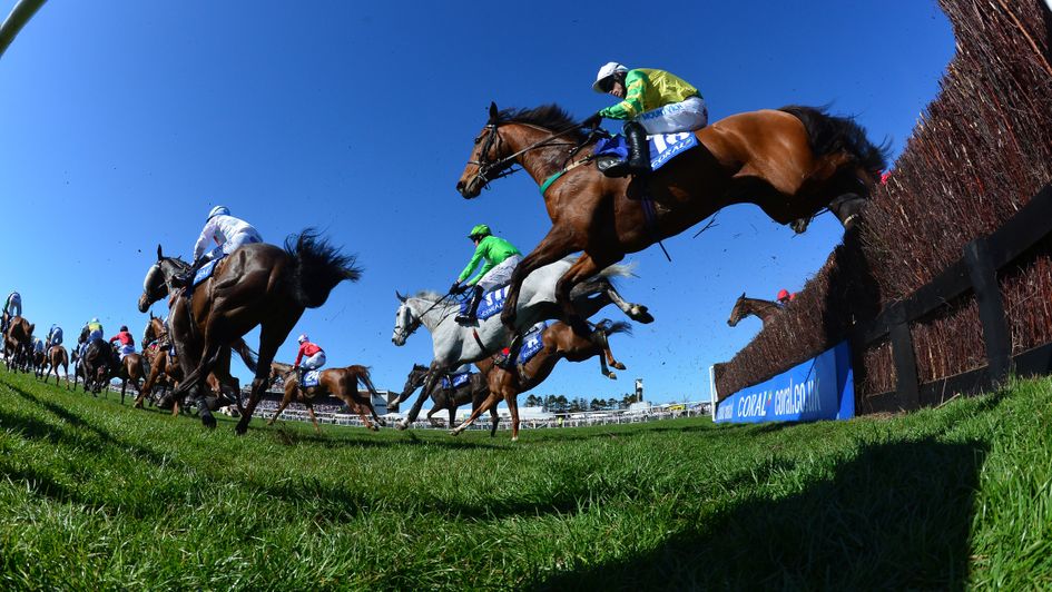 Scottish Grand National action