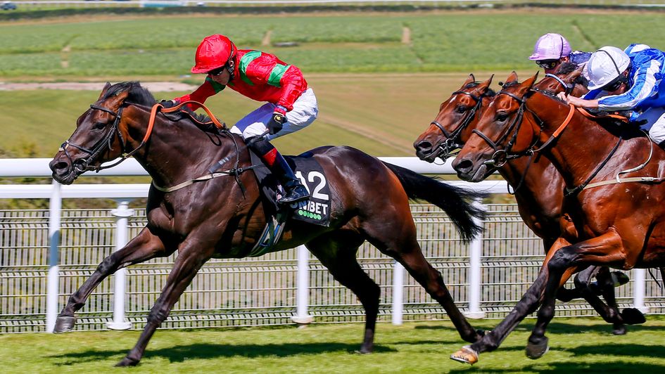 Junkanoo wins under David Egan at 50-1