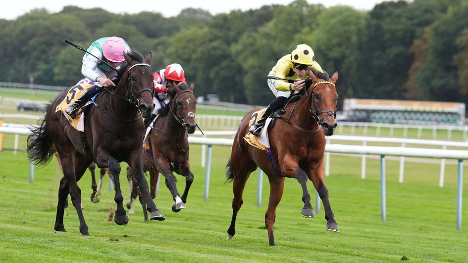 Bow Echo wins at Haydock