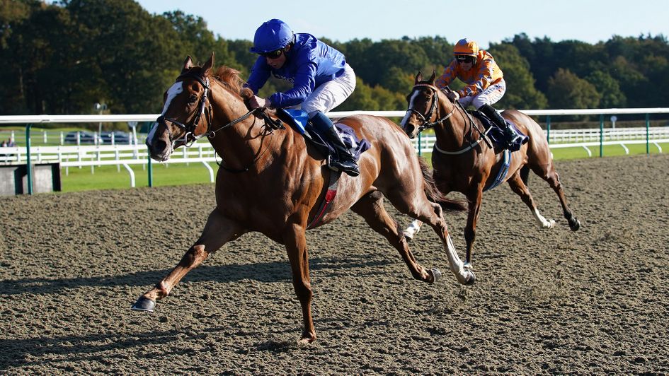 Modern News looks a leading contender for Saturday's Lincoln at Doncaster