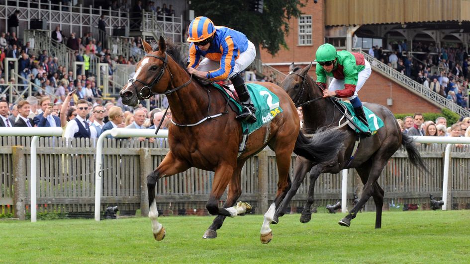 Clemmie pictured winning the Duchess Of Cambridge Stakes