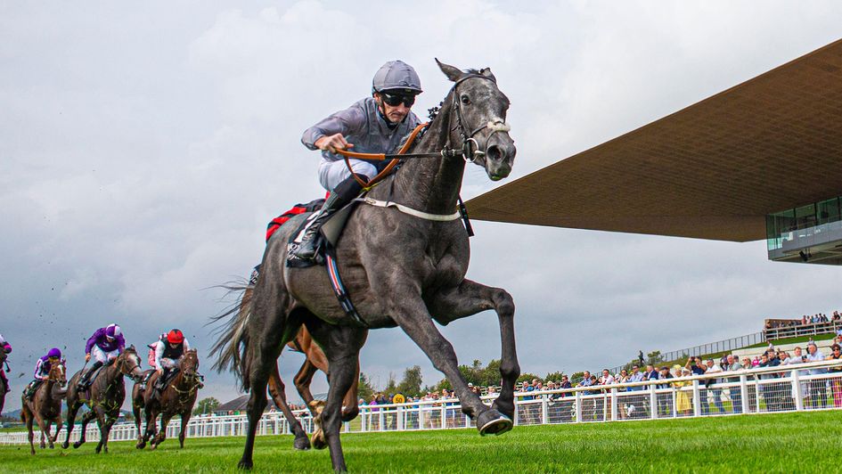 Fallen Angel pictured winning last year's Moyglare