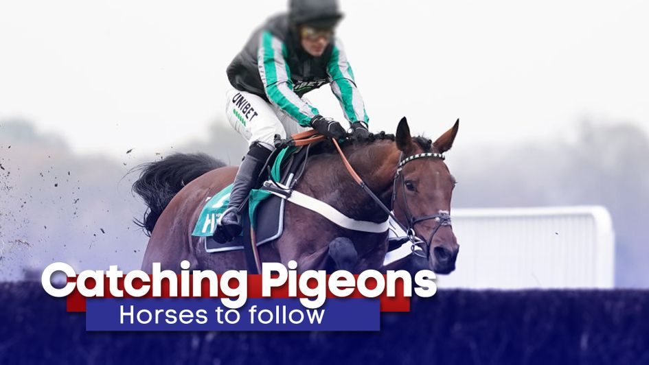 Catching Pigeons returns with more fancied runners